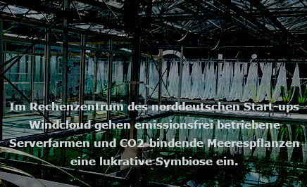 Datacenter: Abwärme effizient nutzen für Energie und Klimaschutz